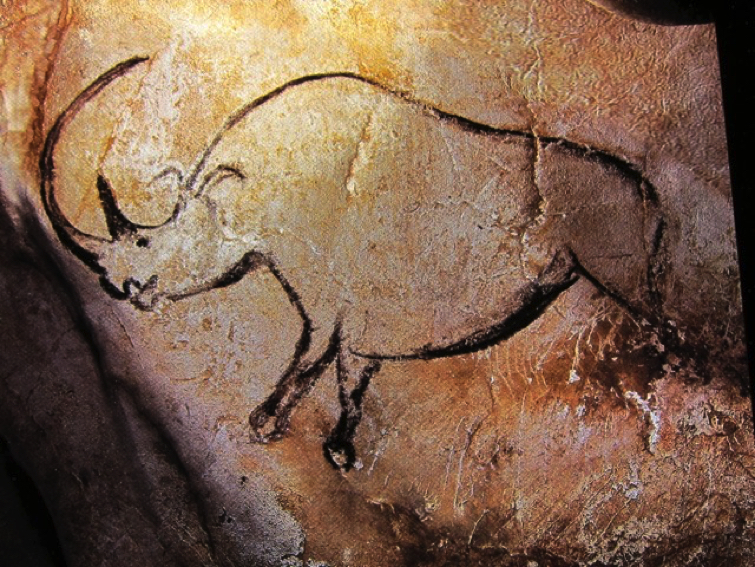 Rhinoceros grotte chauvet
